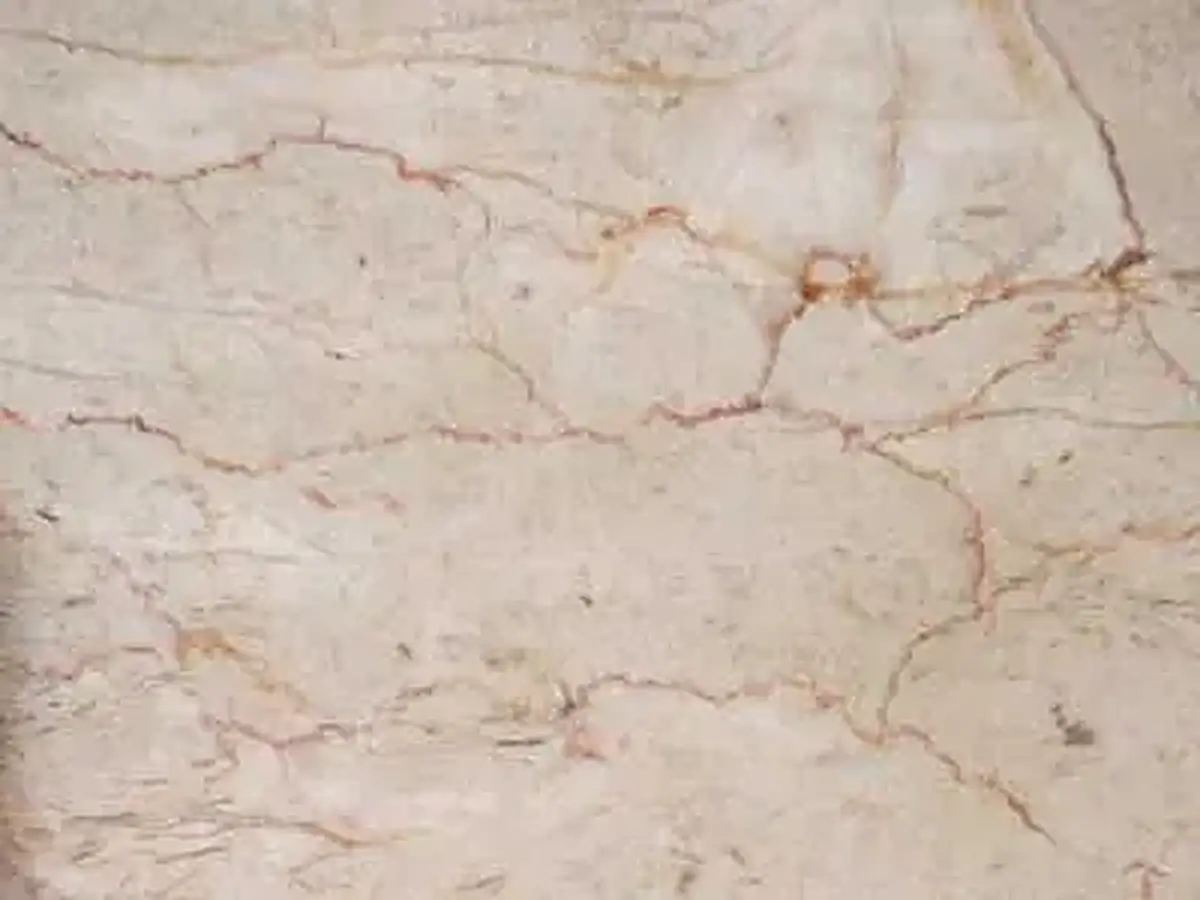 Iran M 206 caliza, muestra pulida – Marmi di Carrara – gris claro, beige (1)