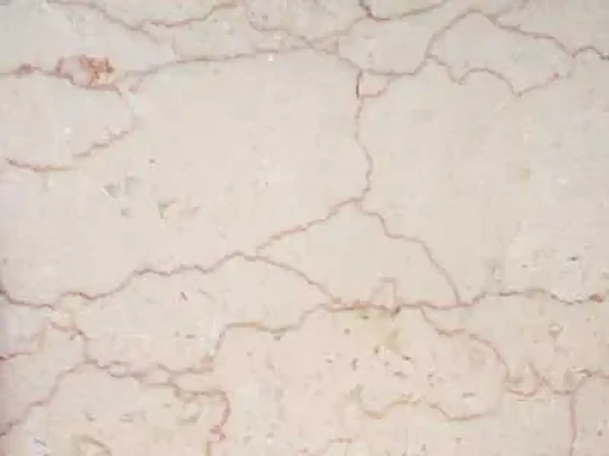 Iran M 208 marbre, échantillon poli – Marmi di Carrara – ivoire, gris clair (1)