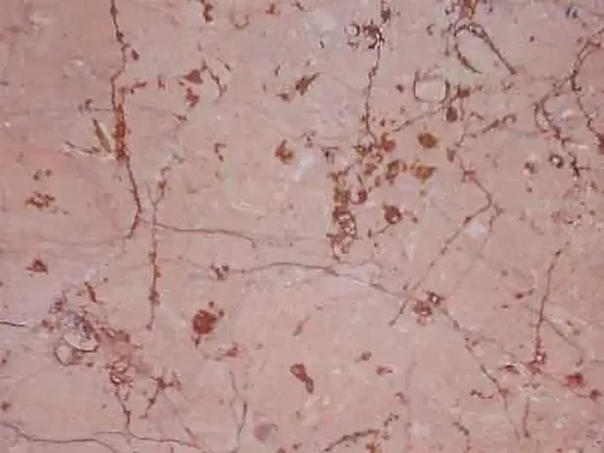 Iran M 210 caliza, muestra pulida – Marmi di Carrara – rosa, gris (1)
