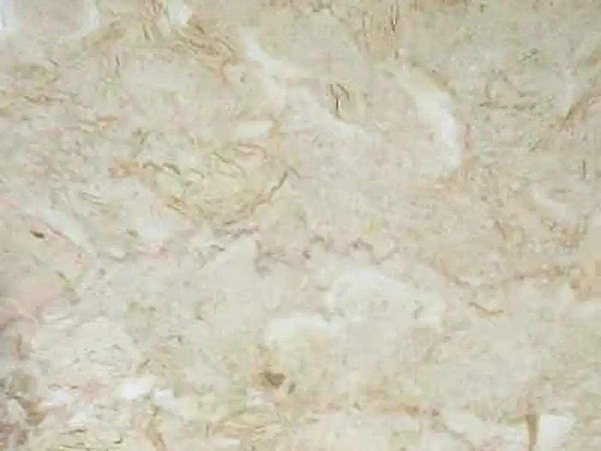 Iran M 212 caliza, muestra pulida – Marmi di Carrara – gris claro, marfil (1)