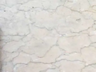 Iran M 216 мрамор, полированный образец – Marmi di Carrara – слоновая кость, светло-серый (1)