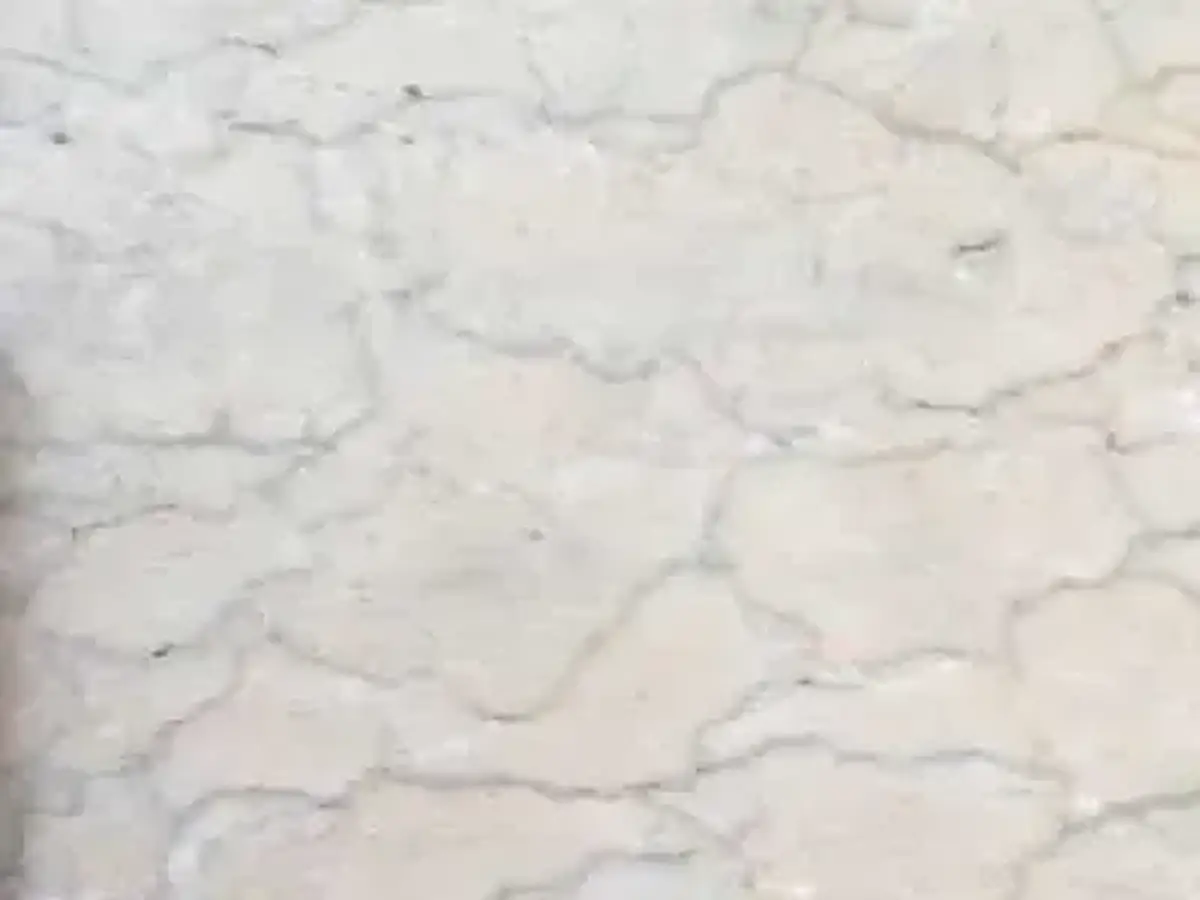 Iran M 216 marble polished sample – Marmi di Carrara – ivory, light grey (1)