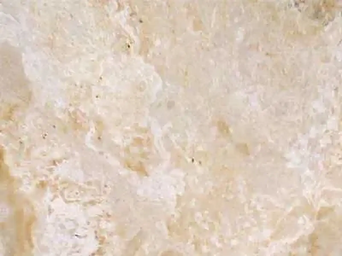 Iran M 219 calcaire, échantillon poli – Marmi di Carrara – ivoire, beige (1)