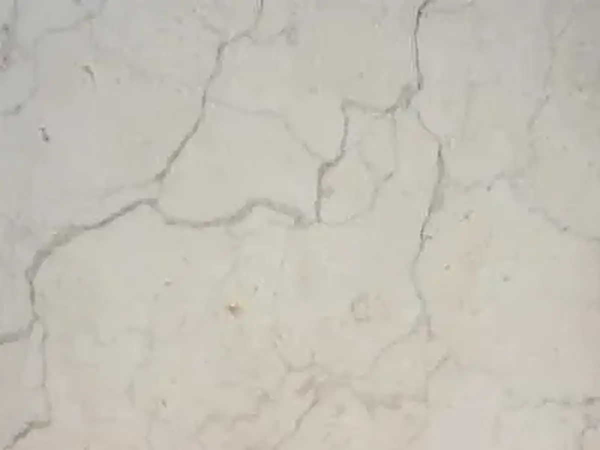 Iran M 220 caliza, muestra pulida – Marmi di Carrara – gris claro (1)