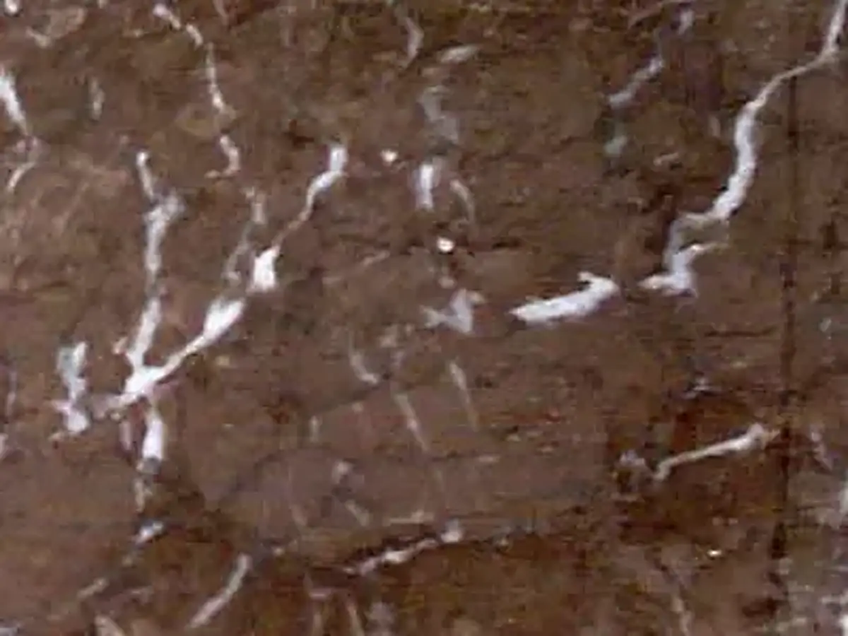 Iran M 232 Kalkstein, polierte Probe – Marmi di Carrara – braun, grau (1)