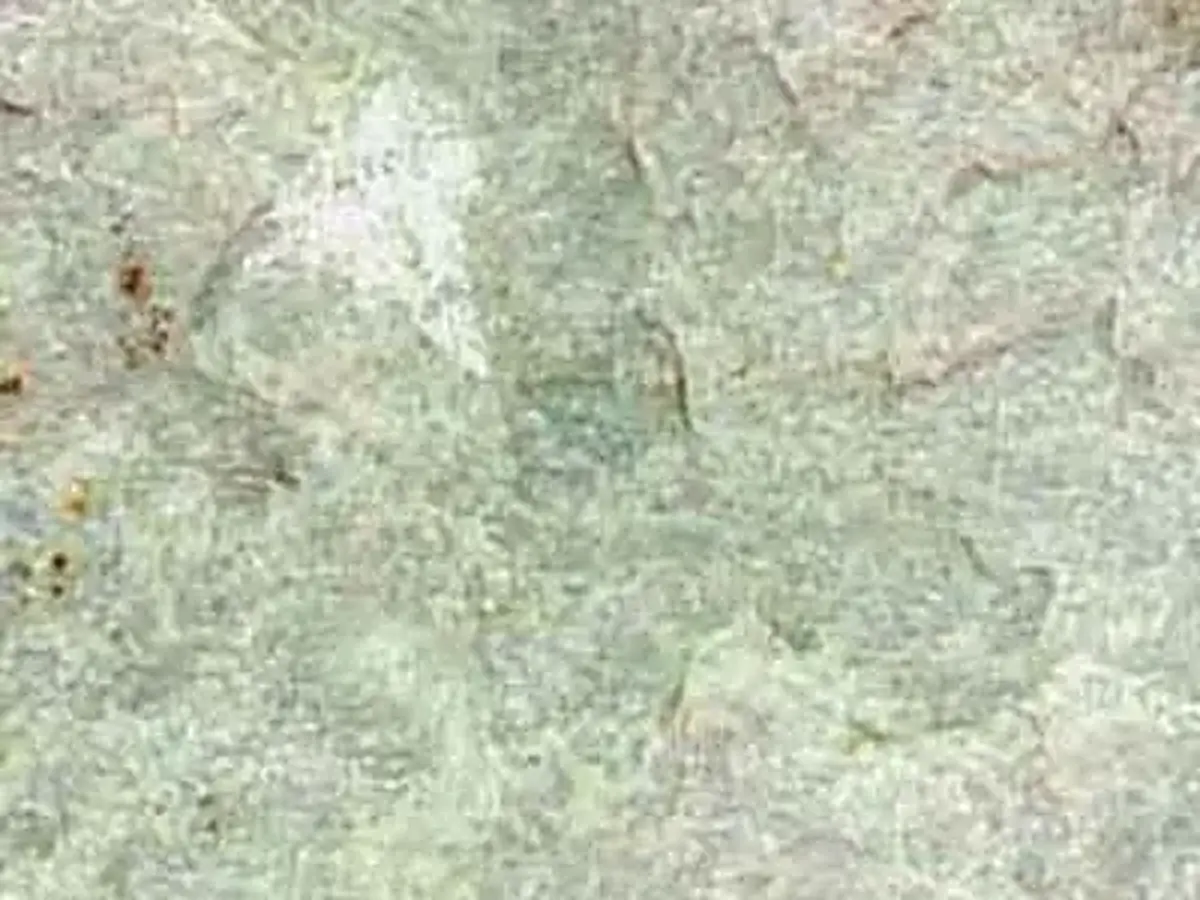 Jak pizarra, muestra pulida – Marmi di Carrara – gris claro, beige (1)