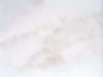 Kozani White – marmo – 1