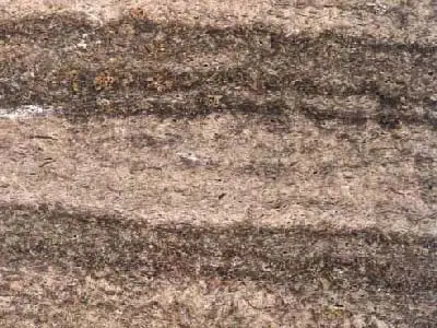 Krensheim – limestone – 1