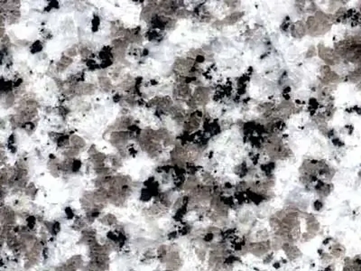 Ksw01 granit, échantillon poli – Marmi di Carrara – blanc, gris (1)