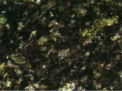 Labrador Gold – غرانيت – 1