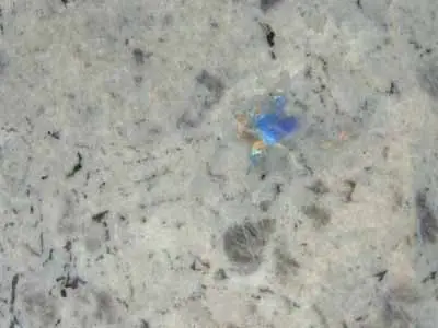 Labradorite Bianca гранит