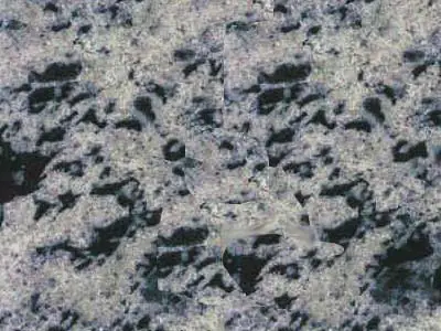 Lake Placid Blue гранит