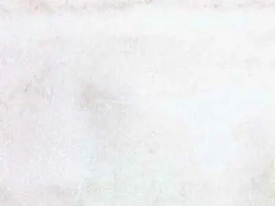 Lasa Bianco Vena d´Oro Marmor, polierte Probe – Marmi di Carrara – weiß (1)