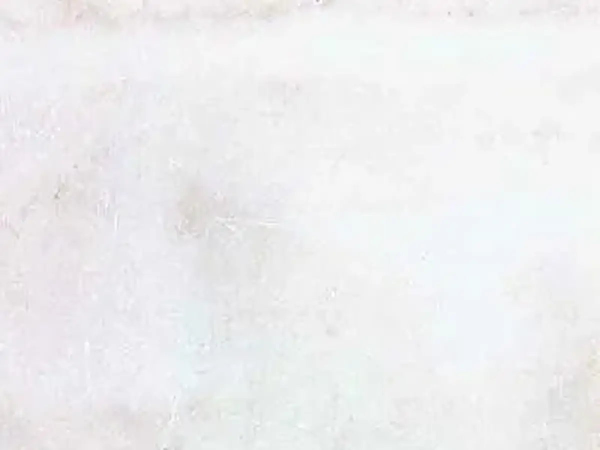 Lasa Bianco Vena d´Oro marble polished sample – Marmi di Carrara – white (1)