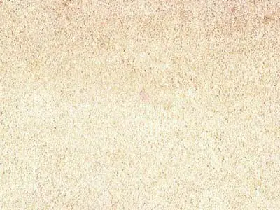 Lemunda – arenaria – 1