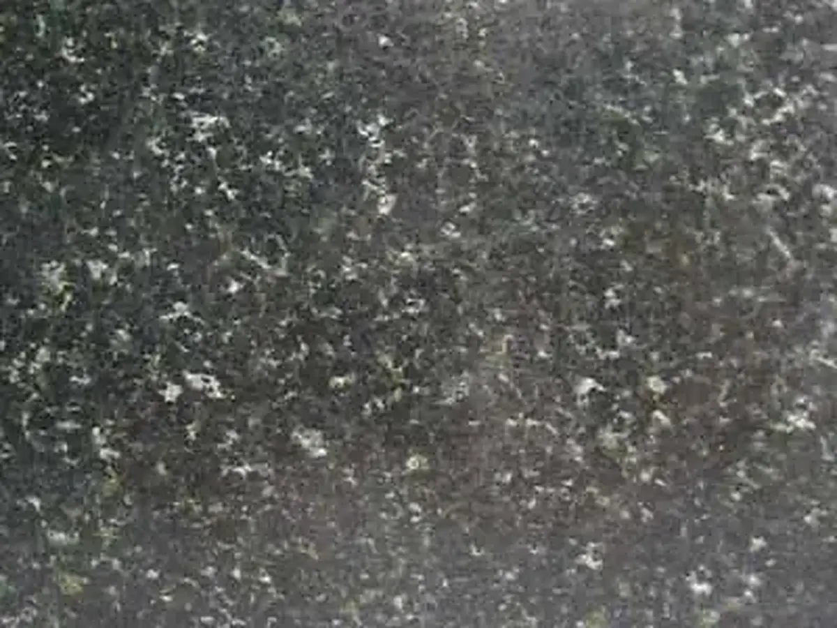 Lo Wai Ting Green granit, échantillon poli – Marmi di Carrara – anthracite, vert (1)