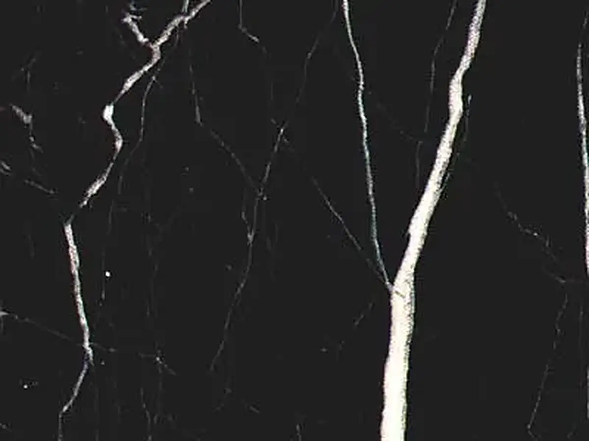 M 4296 a calcaire, échantillon poli – Marmi di Carrara – noir, anthracite (1)