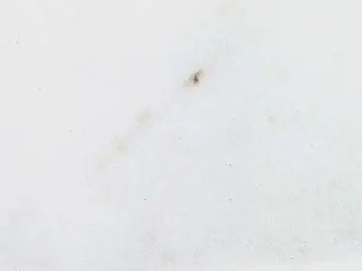 Marmore Branco Extra mármol, muestra pulida – Marmi di Carrara – blanco (1)