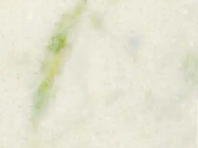 Marmore Branco Pinta Verde мрамор, полированный образец – Marmi di Carrara – слоновая кость, белый (1)