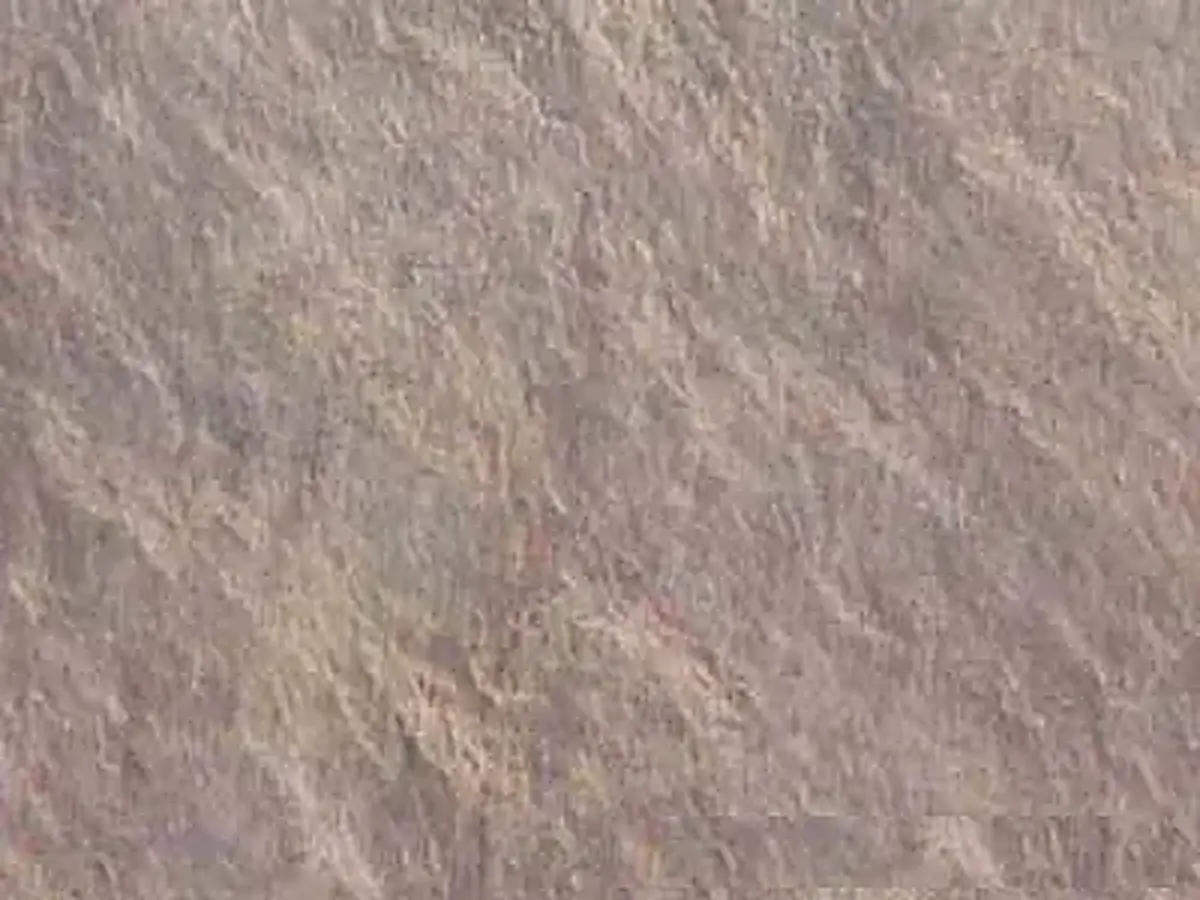 Mau ardoise, échantillon poli – Marmi di Carrara – gris, beige (1)