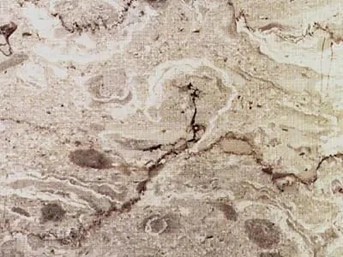 Mezza Perla Classico limestone polished sample – Marmi di Carrara – beige, grey (1)