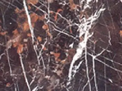 Michelangelo limestone polished sample – Marmi di Carrara – black, charcoal (1)