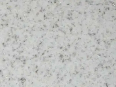 Mongolian White granito, campione lucido – Marmi di Carrara – grigio chiaro (1)