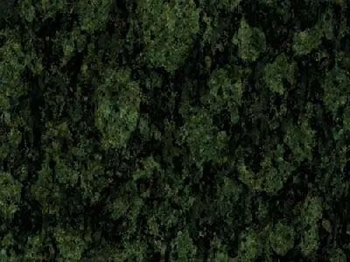 Montana Green granite polished sample – Marmi di Carrara – black (1)