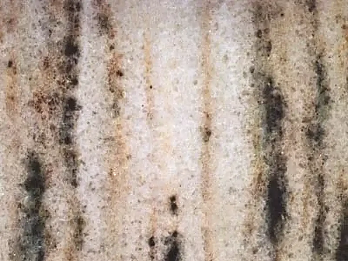 Montepuez marble polished sample – Marmi di Carrara – grey, beige (1)
