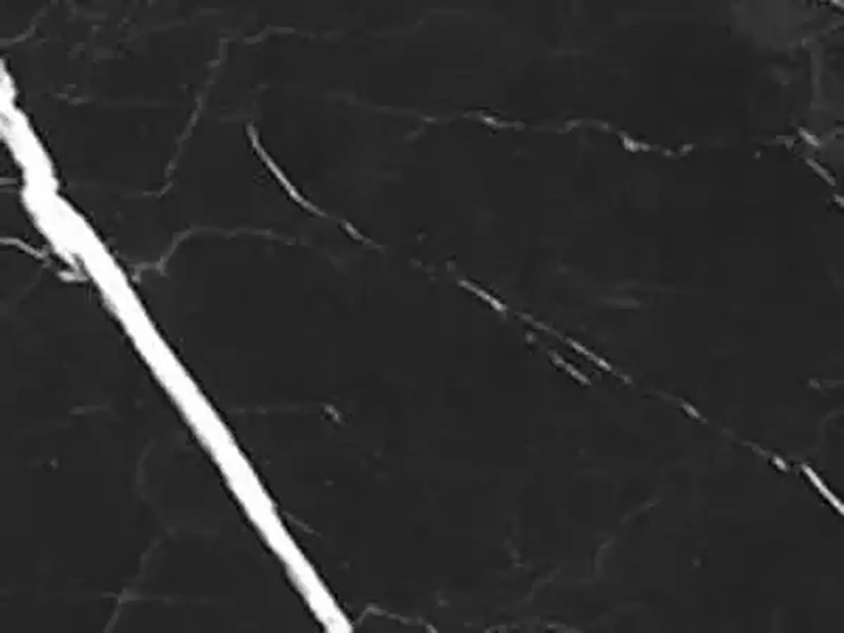 Mosa calcaire, échantillon poli – Marmi di Carrara – noir (1)