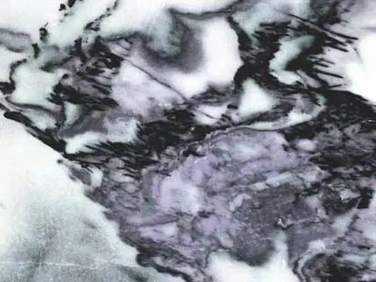 Namaqua mármol, muestra pulida – Marmi di Carrara – violeta, antracita (1)