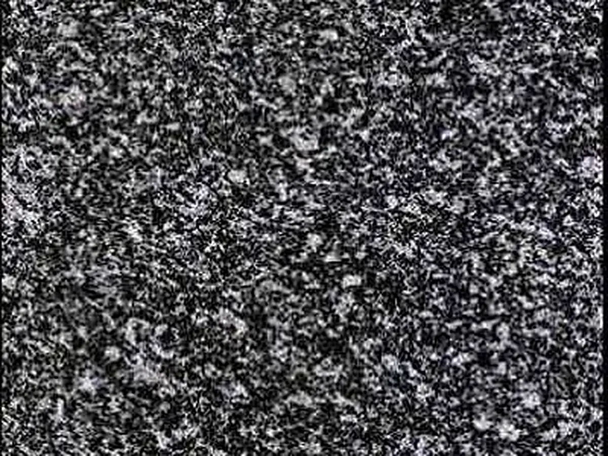 Negro Ochavo Especial granito, muestra pulida – Marmi di Carrara – antracita, negro (1)