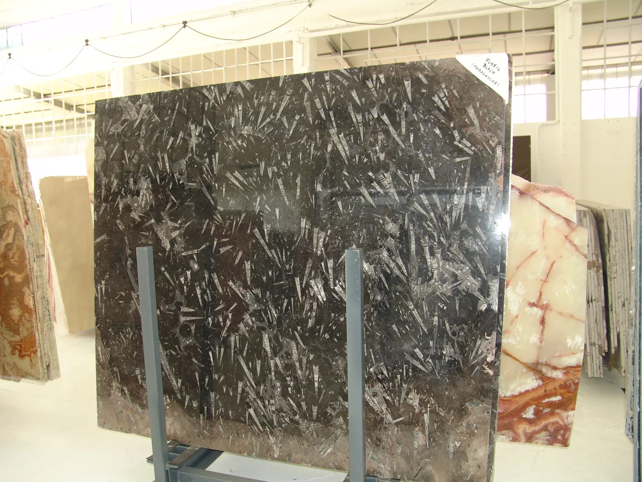 Nero Fossile Marmor, Plattenoberfläche – Marmi di Carrara – weiß, anthrazit (5)