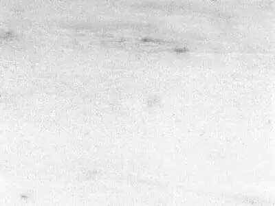 Nestos White мрамор, полированный образец – Marmi di Carrara – белый, слоновая кость (1)