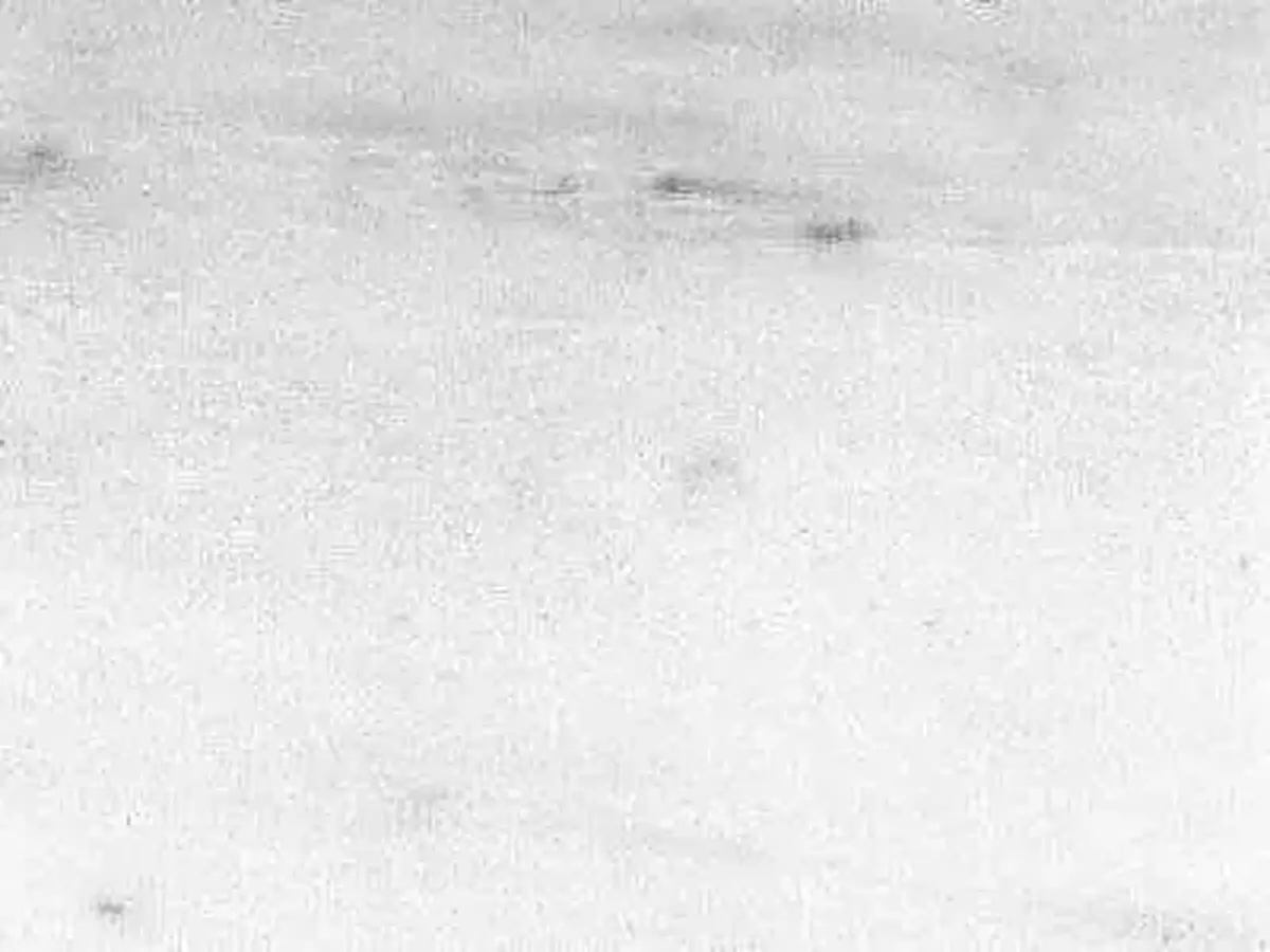 Nestos White marmo, campione lucido – Marmi di Carrara – bianco, avorio (1)