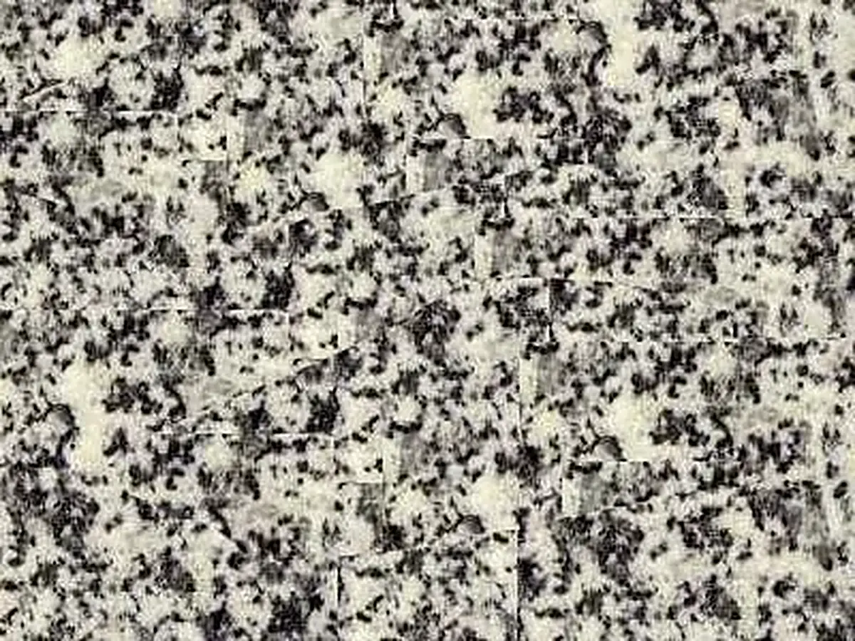 Neuhaus granito, muestra pulida – Marmi di Carrara – gris, beige (1)