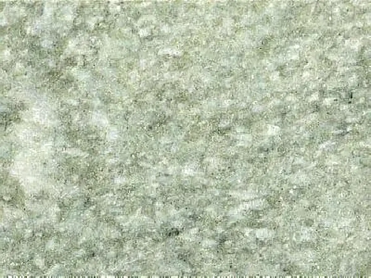 New Verde Spluga granito, muestra pulida – Marmi di Carrara – gris claro, beige (1)