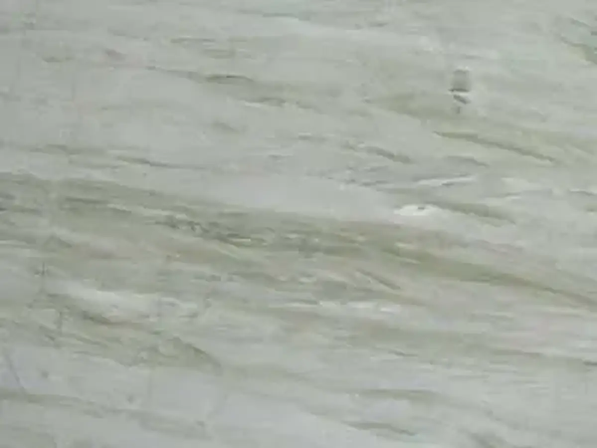 Niagara quartzite, échantillon poli – Marmi di Carrara – gris clair, gris (1)