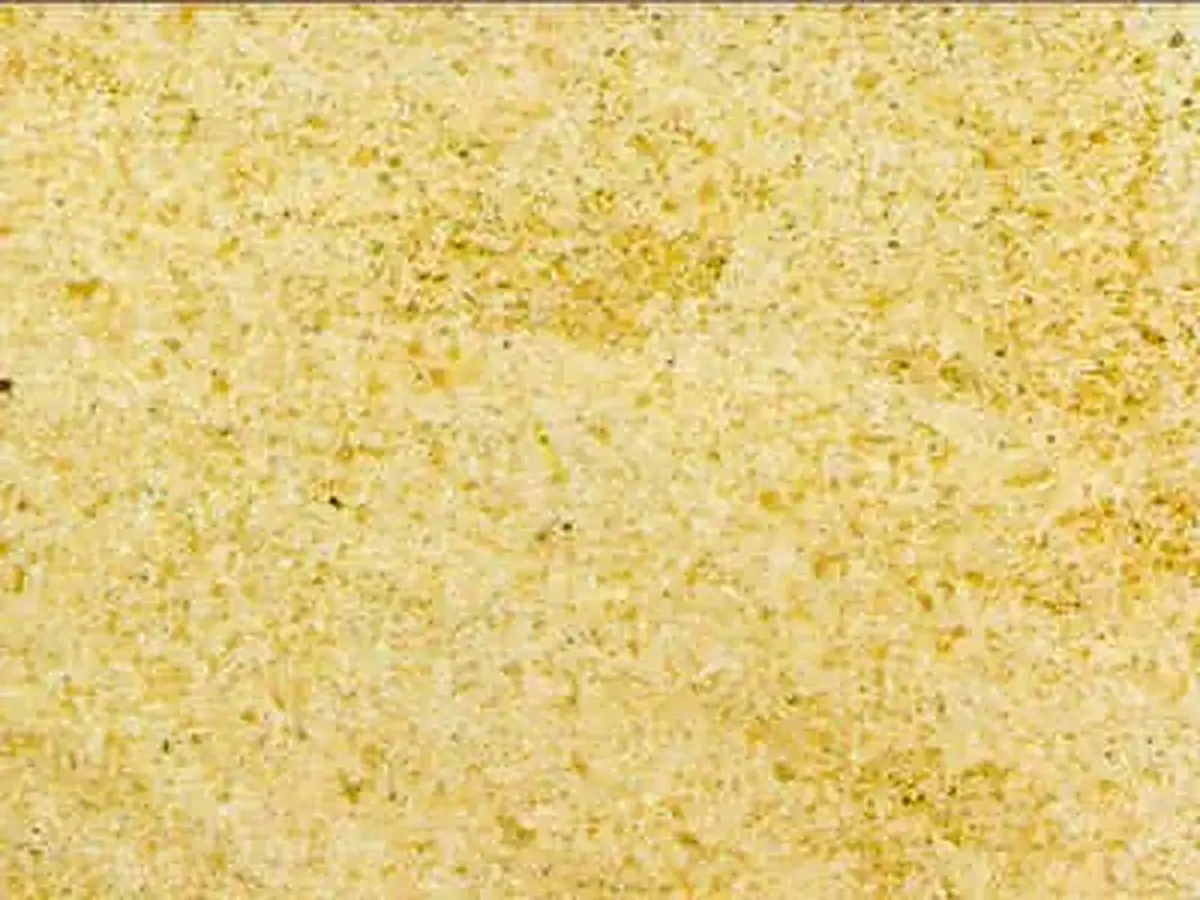 Niwal Amarillo calcare, campione lucido – Marmi di Carrara – beige (1)