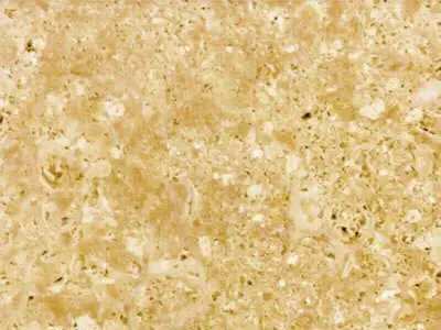 Niwala Peach limestone