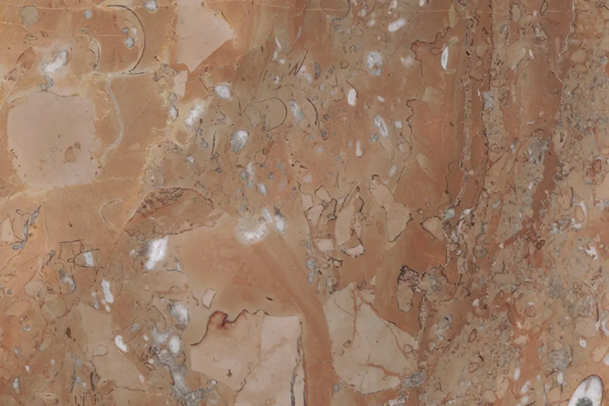 Noisette Fleury marmo, superficie di lastra – Marmi di Carrara – grigio, marrone (1)