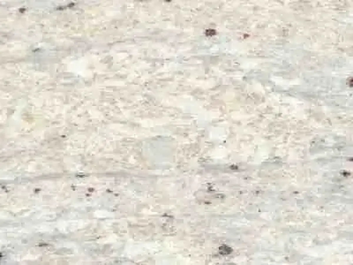 Marmi di Carrara Srl - Since 1956 Italian Marbles , Granite Onyx granit, échantillon poli – Marmi di Carrara – ivoire, blanc (1)