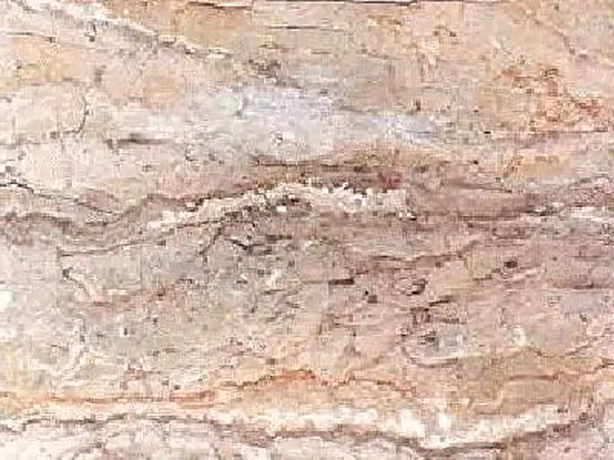Nowshera limestone polished sample – Marmi di Carrara – beige, ivory (1)