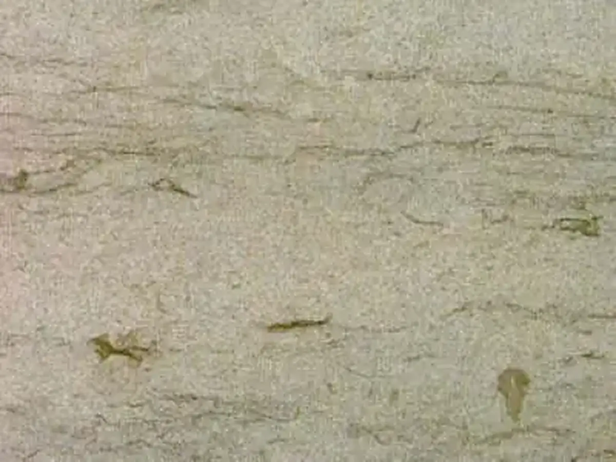 Oasis Azul calcaire, échantillon poli – Marmi di Carrara – beige, gris (1)