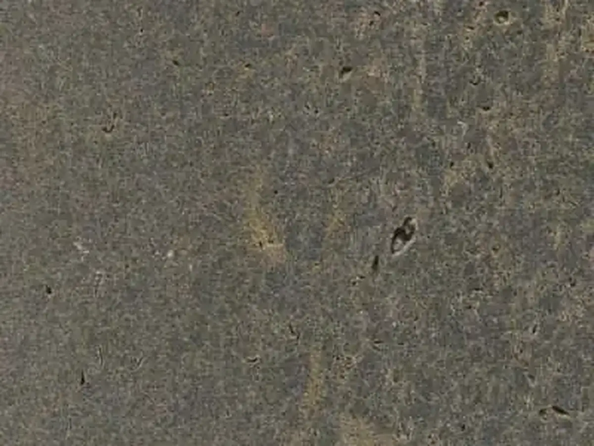 Oberdorla limestone polished sample – Marmi di Carrara – green, charcoal (1)