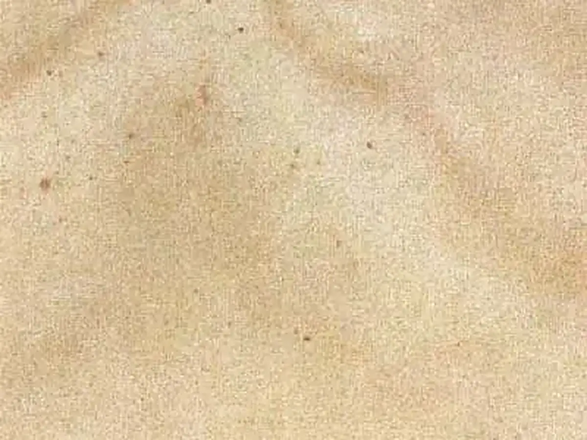 Obernkirchner Sandstein arenaria, campione lucido – Marmi di Carrara – beige, avorio (1)