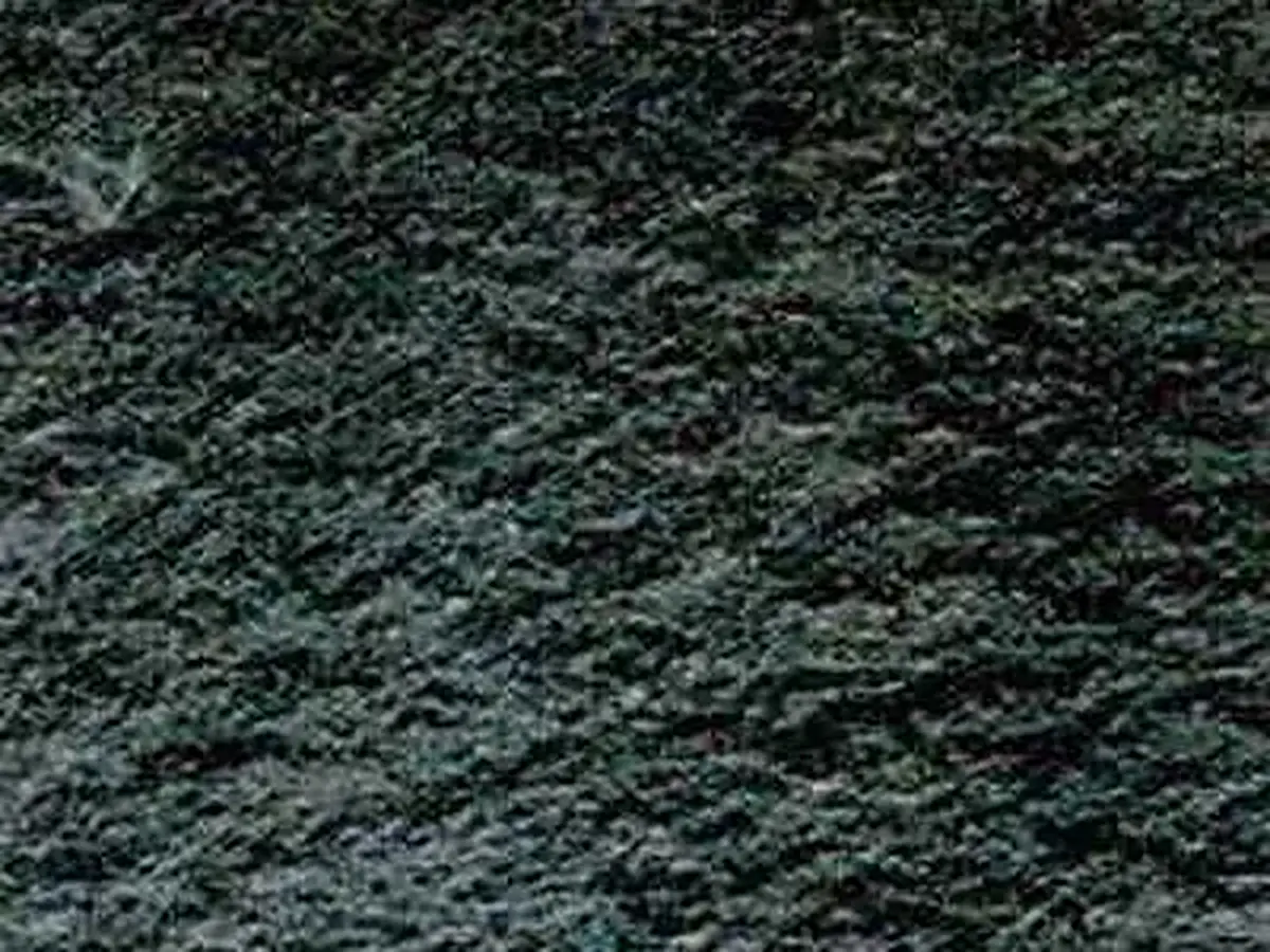 Offerdal quartzite, échantillon poli – Marmi di Carrara – anthracite, noir (1)
