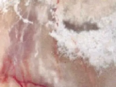 Onyx Medium marbre, échantillon poli – Marmi di Carrara – ivoire, rose (1)