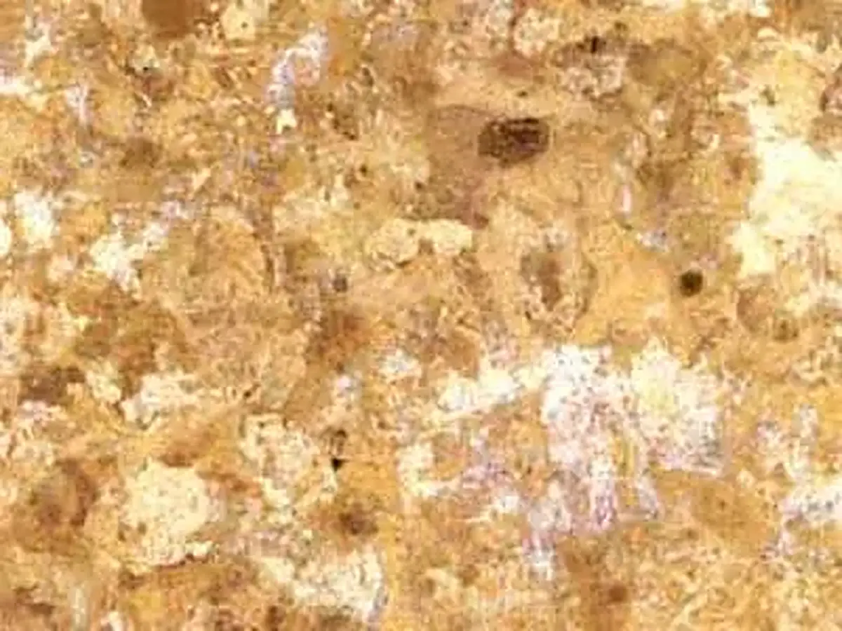 Oro Viejo известняк, полированный образец – Marmi di Carrara – золотистый, бежевый (1)