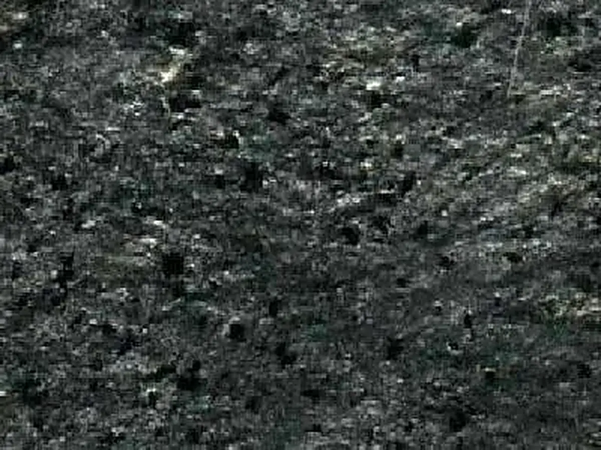 Ostrich Grey Schiefer, polierte Probe – Marmi di Carrara – anthrazit, schwarz (1)